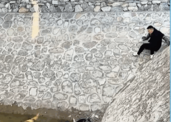 M0208018_tiktok fyp lovestory animal_part2