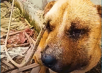 M1308017_reactions hot402.com_part2