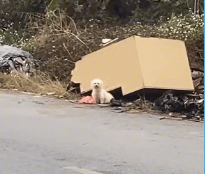 M1308051_This Story will break your heart (1)_part2