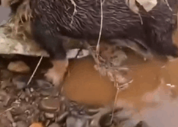 M1308052_This Story will break your_part2