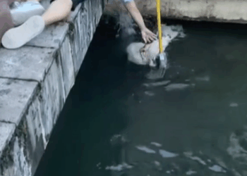 please save him_part2