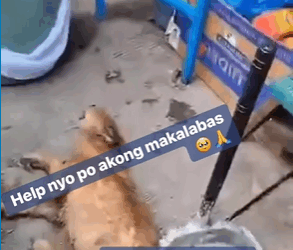 M1408039_Leah Borbon on Reels_part2