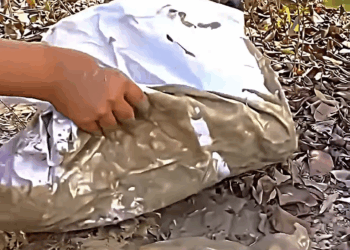 M2907030 What beautiful gesture emotional help helpingpeople sad edit ghost part2