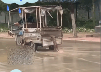 M2808022 video human is too cruel please someone save him =_part1