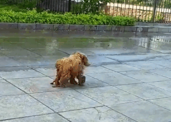 M2808013_En toda su vida no ha recibido un baño_part2