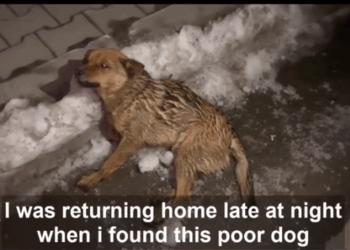 M2609007_NZ6HD8BS_part2