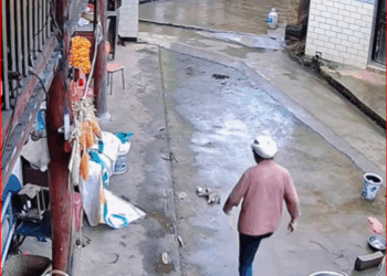 She had little cat unfortunately fell height. She cried…_part2