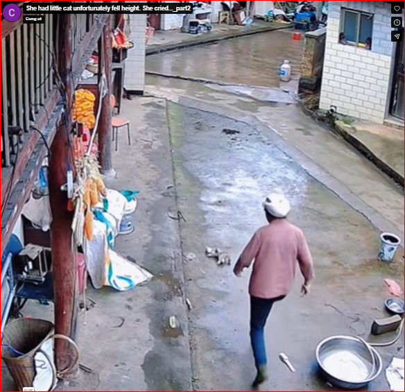 She had little cat unfortunately fell height. She cried…_part2