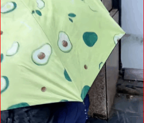 OMG #pet #xuhuong #fyp #trending #dog #dogsoftiktok #petsoftiktok (1)_part2