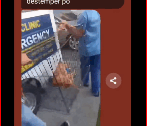 Kasama mo kami sa laban, Tracy! May distemper po sya kaya siguro nang…_part2