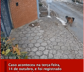 Na terça feira da semana passada, de outubro, em Itupeva, no inter…_part2