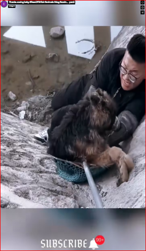 Thanks saving baby #PetsOfTikTok #animals #dog #savin…_part2