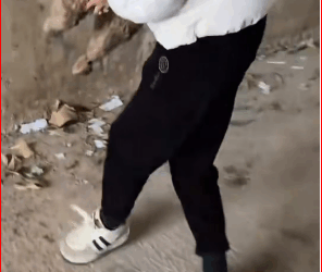 What hell is disabled dog had some kind of problem wit…_part2