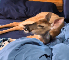 They didn’t have to speak — their eyes said it all.part2