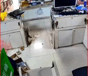 animalvideos #animals #cat #catsoftiktok_part2