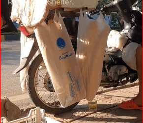 bread seller near my house called said he saw dog abandoned…_part2