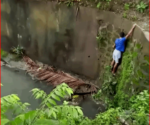 Rescuing Injured Dog Water_part2