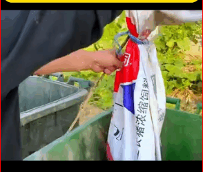 straydog #viralvideo #lonelydog #lovememode #spayandneuter #abandone… (1)_part2