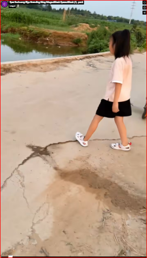 Their pain touched something deep inside me.#pet #xuhuong #fyp #trending #dog #dogsoftiktok #petsoftiktok (1) part2