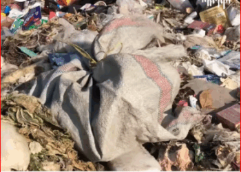 dog owner cruelly abandoned him in tied bag_part2