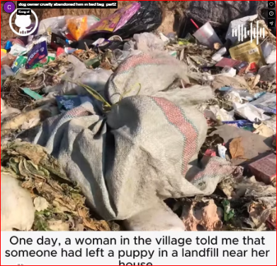 dog owner cruelly abandoned him in tied bag_part2