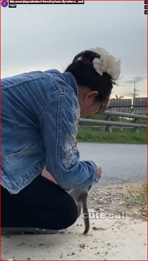 little cat was lying motionless in front of my house. My mother w…_part2