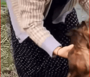 Seeing those innocent eyes in pain just makes me cry.#straydog #viralviedo #lonelydog #lovememode #spayandneuter #abandone part2