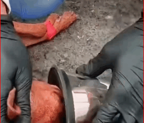 Rescue Filled Hope Love#rescuedog #animalrescue_part2