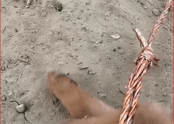 I feel tears rolling down my cheeks when I see the poor dogs.#straydog #viralviedo #lonelydog #lovememode #spayandneuter #abandone