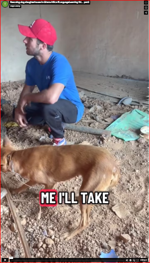 Rescuing dog slaughterhouse in Ghana Africa #LanguageLearning #d…_part2