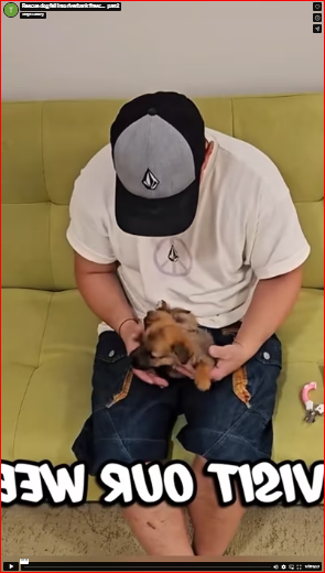 Rescue dog fell into riverbank #resc…_part2