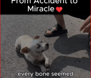 He was broken after crash now he of li. #fyp #trending #r…_part2