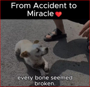 He was broken after crash now he of li. #fyp #trending #r…_part2