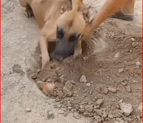 “This mother has lost her baby and cannot bear to see them laid to rest. Love… _part2”