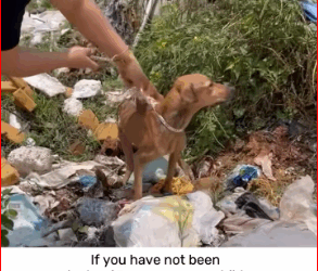 V1111026_If you have not been lucky since you were child, then now on i…_part2