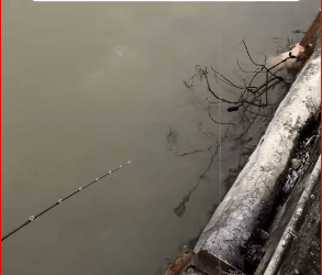 V1211037_Damn it!Which bad guy tied bunch of things to poor little dog_part2