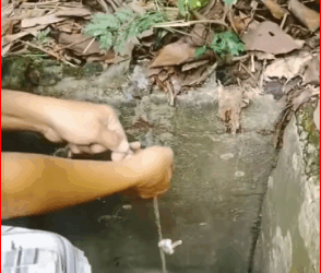 V1311017_Dog Trapped in Sewer Days Gets Rescued by Kind Couple #dogrescu…_part2