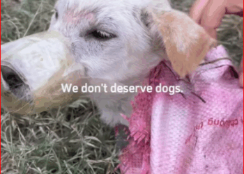 V1111012_Watch till end.#hopecore #core #positivity_part2