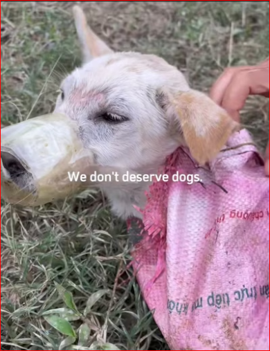 V1111012_Watch till end.#hopecore #core #positivity_part2