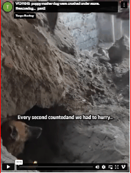 V1311018_puppy mother dog were crushed under stone. #rescuedog…_part2