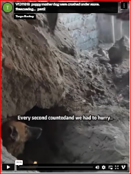 V1311018_puppy mother dog were crushed under stone. #rescuedog…_part2