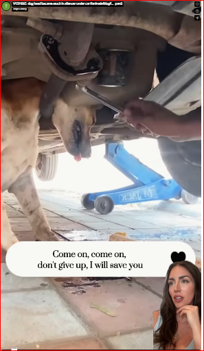 V1511005_dog head became stuck in silencer under car #animals#dog#…_part2