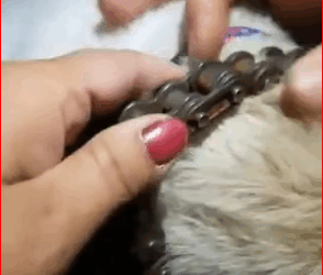 V1211024_she will never be treated like paperweight ever again. #foryoupage_part2