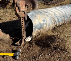 V1911038_Dog stuck in metal pipe chasing rabbit Credits @ben kretchman vi…_part2