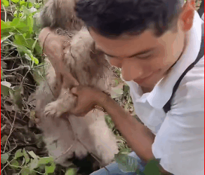 V2211014_boy accidentally saved dog in garbage dump ending#a…_part2