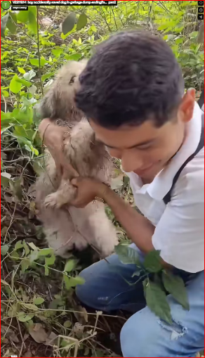 V2211014_boy accidentally saved dog in garbage dump ending#a…_part2