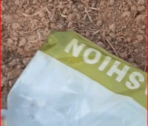 V1911026 We found ourselves unable to hold back our tears at the sight of the suffering dogs right after we met them.#helping #viraltiktok #puppy part2