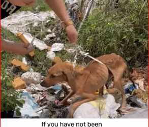 V1511013_If you have not been lucky since you were child, then now on i…_part2