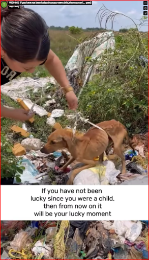 V1511013_If you have not been lucky since you were child, then now on i…_part2