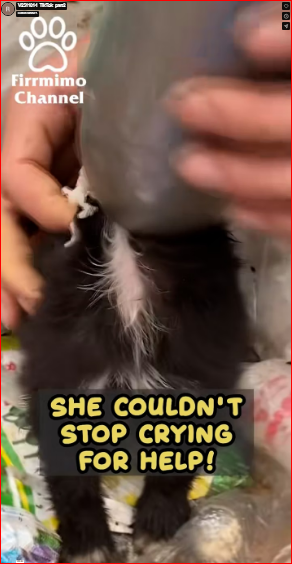 V2511014_TikTok_part2